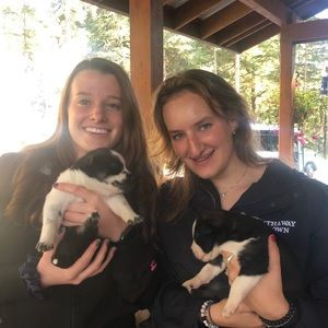 Meet your Posher, Diana